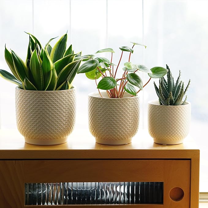 4 + 5 + 6 Inch Ceramic Pots for Indoor Plants, Succulents Plant Pots, Orchid Flower Pot with Drainage Hole, Modern Clay Stoneware Planters, Set of 3 (Milk White, 4+5+6 Inch)