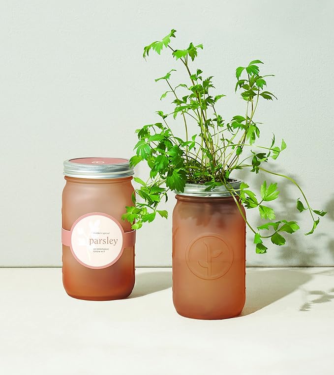 Modern Sprout Glass Jar Grow Set, Indoor Herb Garden, Seed Starter Set, Organic, Non-GMO, Parsley