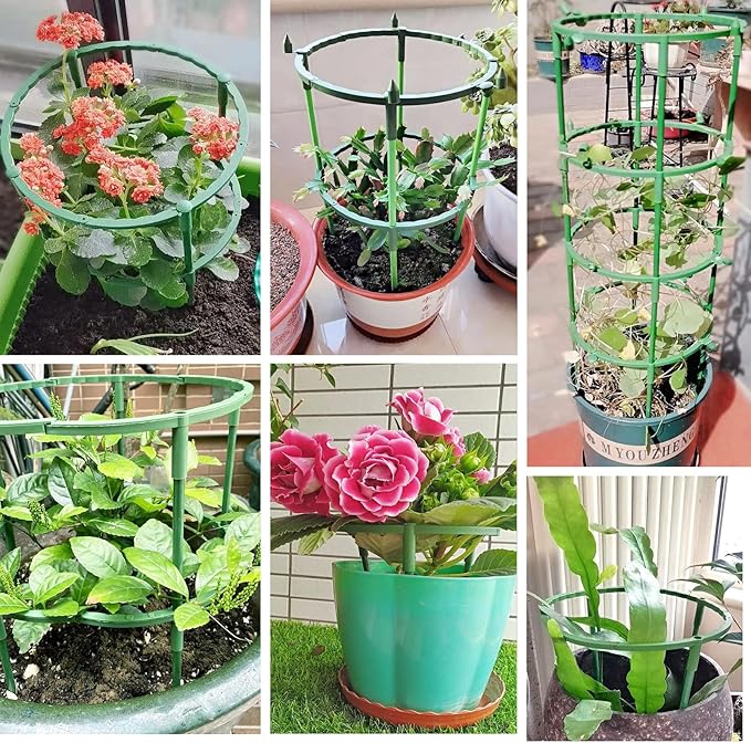 Belit 12 Pack Plant Support Stake, Half Round Plant Support Ring Plastic Plant Cage, Flower Pot Climbing Trellis for Clivia, Roses, Hydrangea, Indoor Plants, 5.5" Wide x 9.8" High