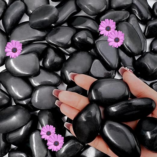12lb Black River Rocks for Plants Indoor, 1-2Inch Pebbles for Vases Fillers, Decorative Gravel for Fish Tank, Natural Polished Stones for Succulent, Bonsai, Landscaping, Bird Baths