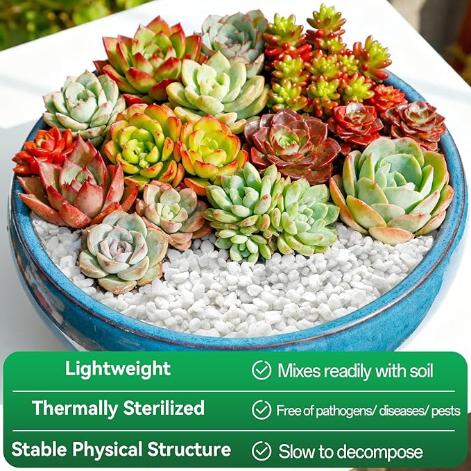 ZeeDix 3QT Organic Perlite Horticulture Soil Amendment for Plants, 3-9mm Granule Size Potted Plant Soil for Orchid Cactus Succulents Carnivorous Monstera Repotting, Indoor Outdoor Gardening