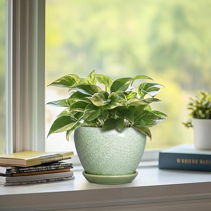 Ceramic Flower Pots - 6 Inch Plant Pot with Drainage Hole and Saucer, Modern Plant Pots for Indoor Succulent Plants, Round Indoor Planter, House Decor, Gardening Gifts, Crackle Light Green