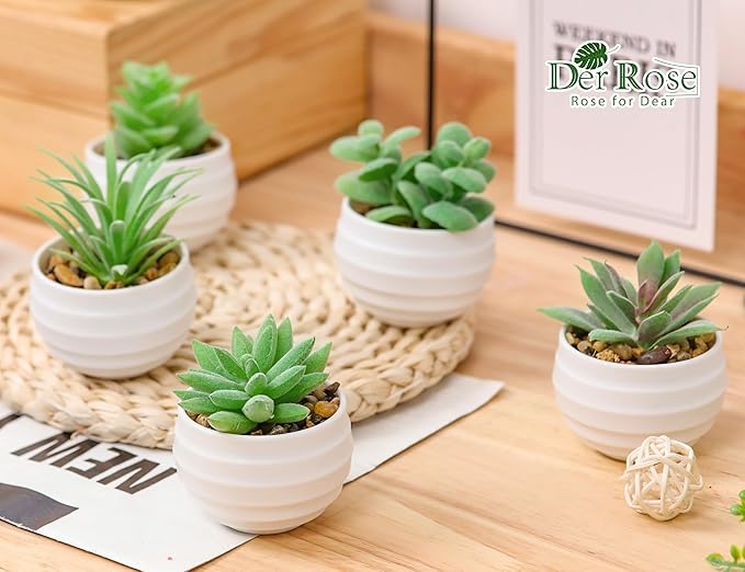 Der Rose 9 Pack Fake Plants Small Realistic Succulents Plants Artificial for Home Room Decor Indoor