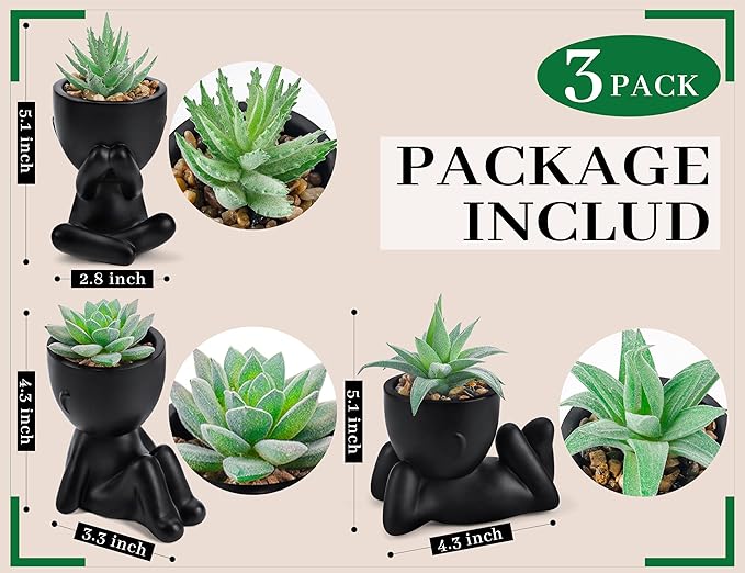 Der Rose 3 Pack Fake Plants Artificial Succulents Plants for Room Bathroom Home Office Desk Accessories Decor