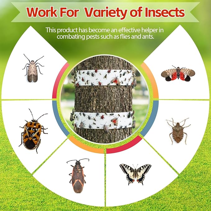 12 Rolls Spotted Lanternfly Traps Ant Insect Barrier, 30 ft Each, Outdoor Fly Tree Trap Sticky Strips Tree Trunk Wraps to Protect Trees, Fruit & Plants, Pest Control Lawn & Garden