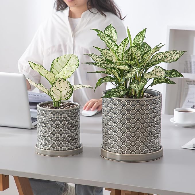 8 Inch Plant Pot: Ceramic Planter with Drainage Hole & Saucer Indoor Outdoor Plants - Cylinder Round Flower Pot for Home Office - Modern Decorative - Medium Grey