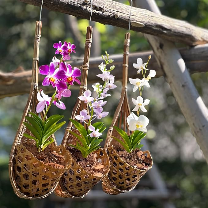 Handmade 100% Thai Bamboo Hanging Orchid Basket – 4 Inch Set of 3 for Mom & Spring Seasonal Decoration