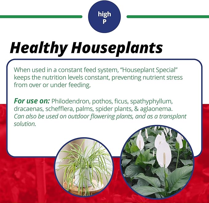 Jack's Classic 15-30-15 Houseplant Special Water-Soluble Fertilizer with Micronutrients to Green-Up and Increase Blooms in Houseplants, 8oz, 2 Pack
