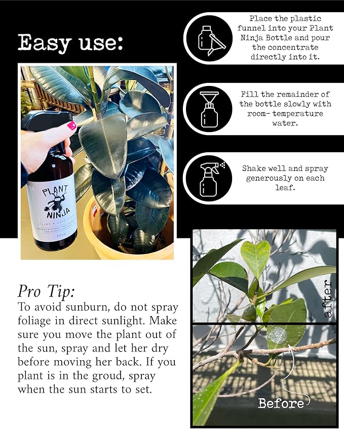 Plant & Leaf Spray, Refill Concentrate, Protection, Shine Enhancer for Your Indoor Plants, House Plants, Gardening Supplies, Plant Care, 3 Pack 1oz