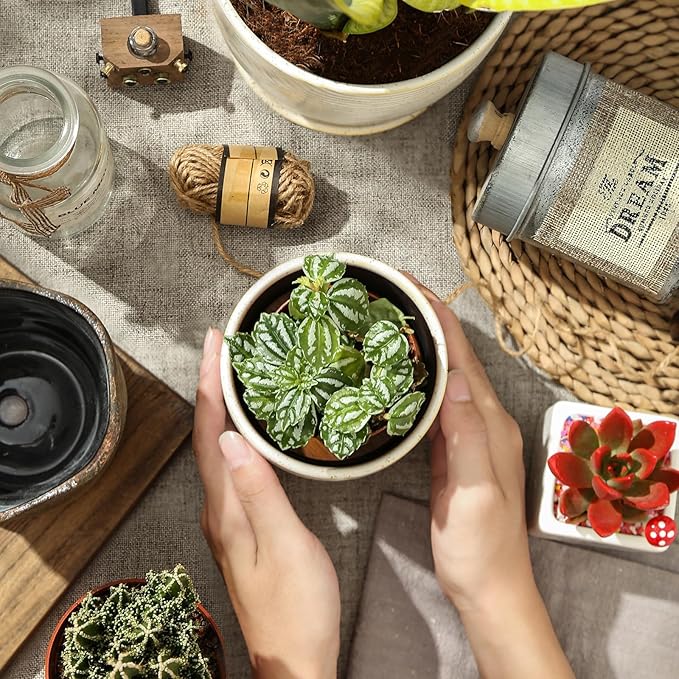 Set of 2 Ceramic Planters with Drainage Holes & Saucers - 4+5.75 Inch Retro Yellow & White Reactive Glaze Flower Pots - Unique Decorative Succulent Orchid Pots for Indoor Outdoor Home Decor