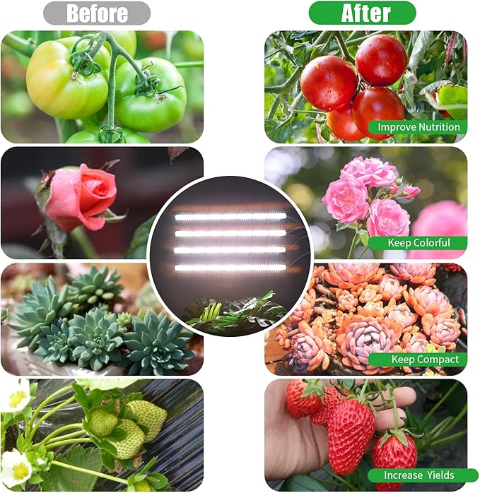 RWNTAO Grow Lights for Indoor Plants, 13" Grow Light Strips with Timer 3/9/12 H, 10 Dimmable Levels, 192 LEDs Full Spectrum Sunlight，Plant Growing Lamp for Indoor Greenhouse Seedlings, 4 Head