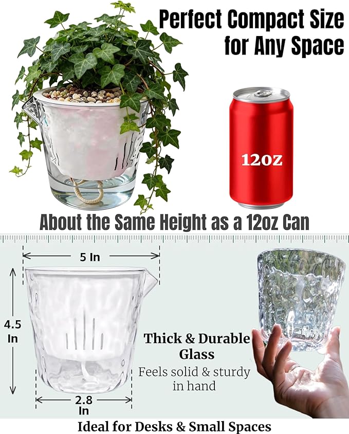 3-Pack Clear Self Watering Plant Pots, 5 Inch Clear Flower Pots with Drainage Holes, Tray and Rope, Plastic Self Watering Planters for Indoor Outdoor Garden Plants, African Violet, Herbs
