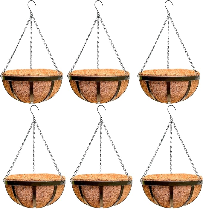 LaLaGreen Outdoor Hanging Baskets for Plants (16 Inch, 6 Pack) Large Hanging Planter with Coco Liner, Black Plant Metal Flat Iron Round Flower Pots Deck Patio Modern Garden Balcony Outside Decoration