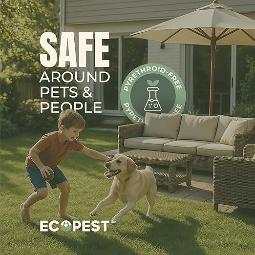 Carpet Beetle Spray – Natural, Plant-Based Killer for Carpet Beetles, Larvae & Eggs | Fabric & Furniture-Safe Home Treatment for Indoor Use | Child & Pet Safe, Low Odor, Eco-Friendly (128 oz)