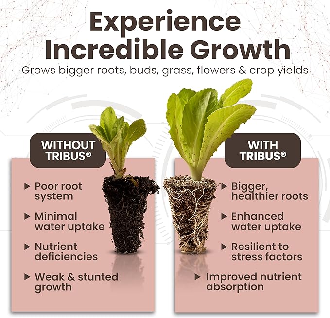 Tribus Organic Microbial Inoculant – Root Booster for Plants, Increases Plant Yield, Root Growth, Flower & Fruit Quality. Bloom Booster. Visible Root Growth in 24Hrs. Packaging May Vary. 33.8 oz