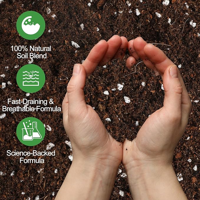 Pothos Potting Soil - Pure Natural Organic Soil 1qt, Well-Draining and Aerated for Healthy Indoor Plants