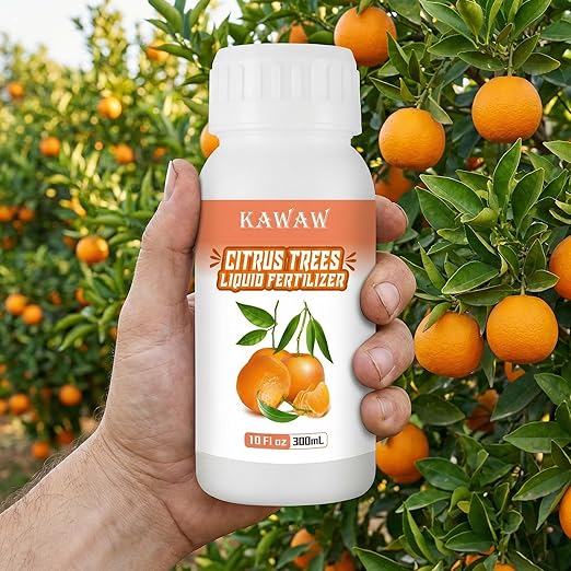 10oz Organic Citrus Probiotic Fertilizer - Natural Liquid Plant Food for Lemon, Fruit Trees & Vegetables - Promotes Root Growth & Green Leaves