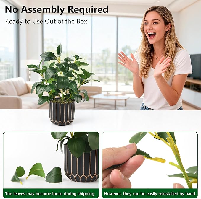 florisso Artificial Succulents & Fig Leaf Potted Decor - Faux Succulents with Fig Leaf Greenery in Black & Gold Plastic Planter (No Actual Figs) for Farmhouse, Bathroom, Bedroom & Office Decor