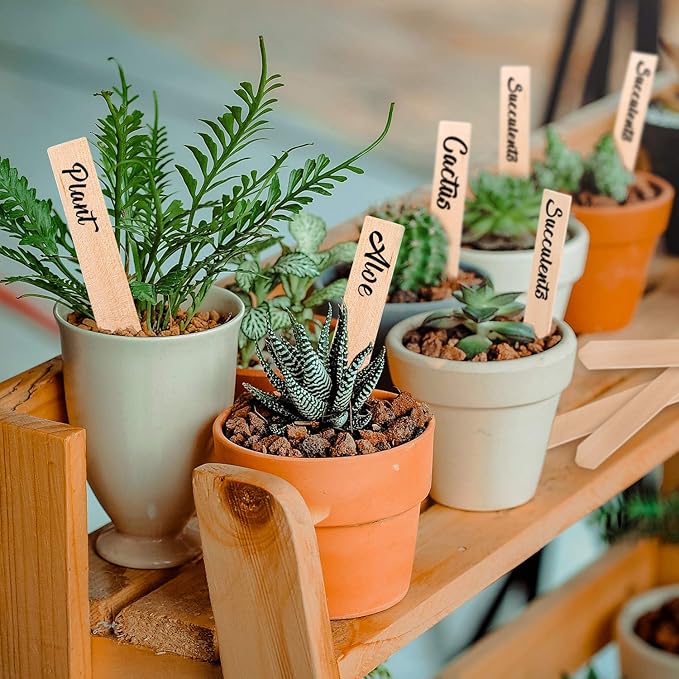 Whaline 50Pcs Wooden Plant Labels with A Marker Pen Waterproof Pointed Wooden Plant Sign Tags Garden Markers for Outdoor Indoor Garden Seed Potted Herbs Flowers Vegetables (15 x 2 cm)