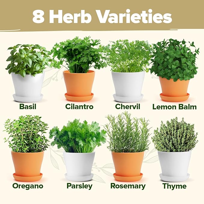 HOME GROWN Gift Herb Kit – 8 Herb Seeds Set with Basil, Cilantro, Mint & More & Herb Garden Planter Indoor Kit – Unique Christmas Gift for Adults, Men, & Women - Grow 4 Heirloom Herb Seeds