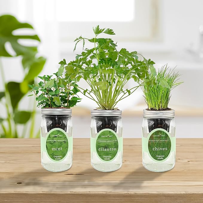 Hydroponic Herb Growing Kit Set, Self-Watering Mason Jar Herb Garden Starter Kit Indoor, New Christmas Gift for Mom (Cilantro, Mint & Chives)