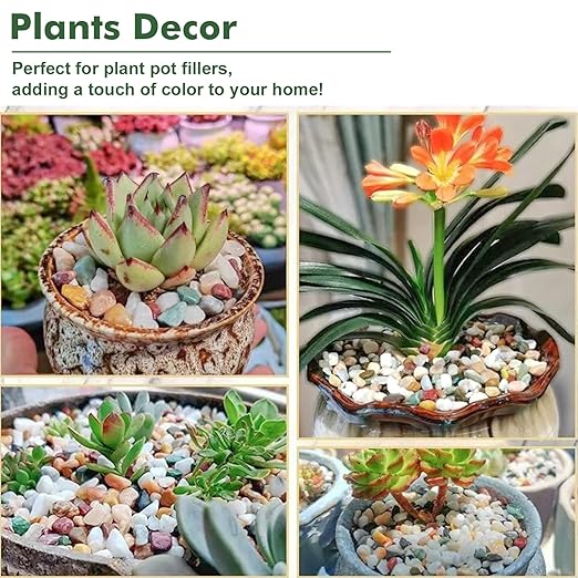 6.6 lbs Succulent and Cactus Bonsai Pebbles, 4-6mm Decorative Landscaping Polished Stones Natural Garden Gravel Rocks for Indoor Outdoor Plants Aquariums DIY, and Gardening Top Dressing, Multicolor