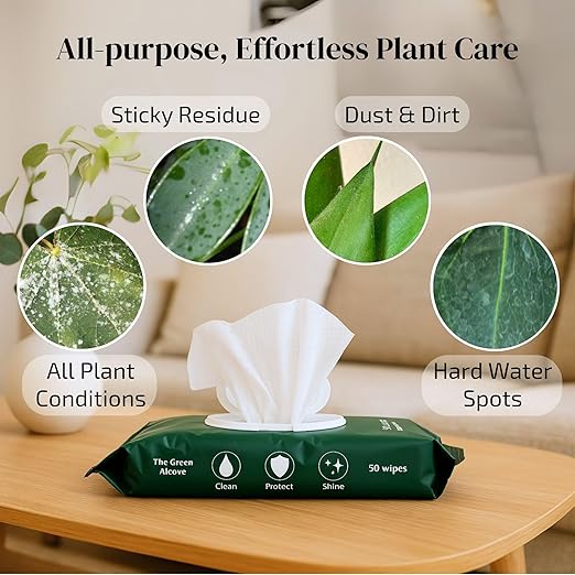 Plant Shine & Defense Essentials – Plant Wipes + Essential Oil Infused Neem Oil (No Spray Bottle)