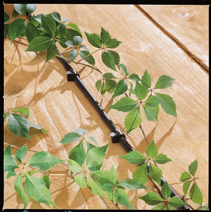 Orbit 56318 Hanging Basket Drip Irrigation Drip Watering Kit with 1-Outlet Digital Hose Faucet Sprinkler Timer
