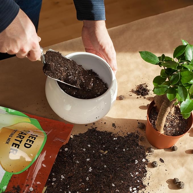 Doter Seed Starter Potting Soil Mix 2qt, Seed Starting Mix for Germination and Growth, Loamy Compost Well-Drainaged Soil Fit for Vegetable, Flower, houseplant