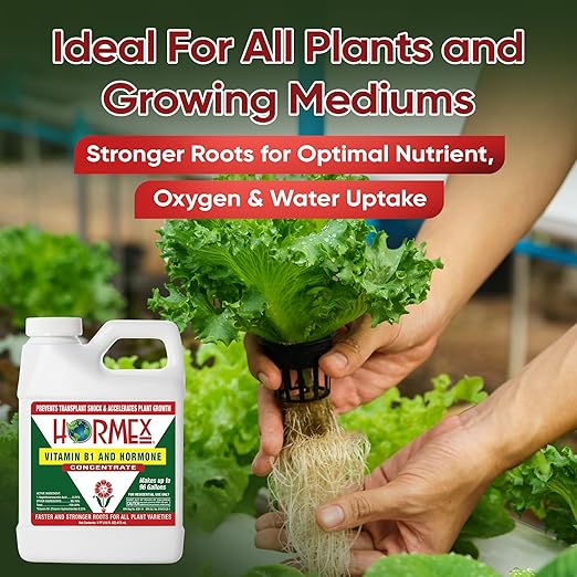 Hormex Liquid Rooting Hormone Concentrate with B1 – Root Growth Stimulator for Strong, Healthy Plants - Prevents Transplant Shock - Houseplants, Gardens, Hydroponics, Trees, Fruits & Vegetables, 16oz