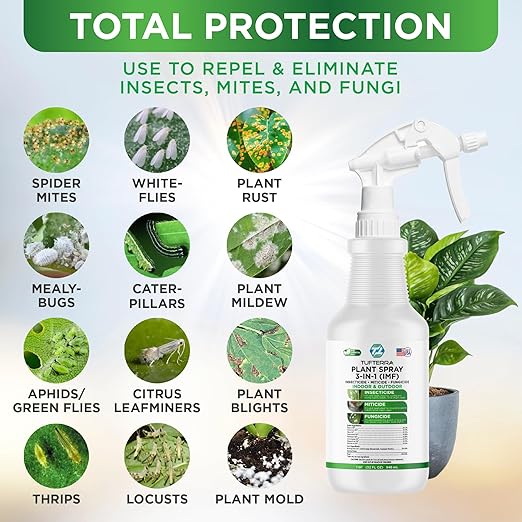 Plant Spray 3-in-1 Insecticide, Miticide, Fungicide | Natural Bug Spray, Indoor & Outdoor Plants | Essential Oils & Castile Soap | Aphids, Mites, Whiteflies, Thrips, Mildew, Mold | 32oz