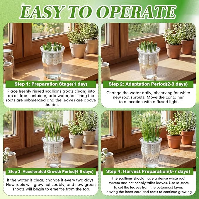 2 Pack Green Onion Planter Scallion Grower Seed Sprouting Kit Compatible with Regular Mouth Mason Jar for Windowsill Garden, Hydroponics, and Propagation Hydroponics Enthusiasts (White)