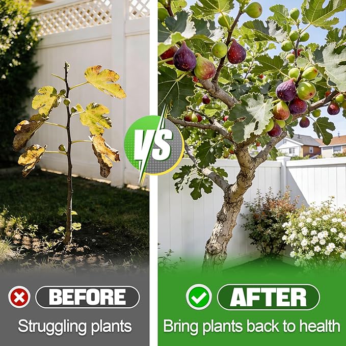 10-10-10 Slow-Release Premium Fertilizer - All-Purpose Plant Food for Indoor Outdoor Gardening Vegetables Flowers Lawn Trees Shrubs, 0.5 Quart