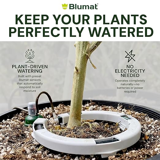Grow Tent Drip Irrigation System - Blumat Watering Kit for 9 Large Pots (2-7 Gallon) - Automatic Grow Tent Watering System with Efficient Preset Blumat Sensors (Bucket not Included)