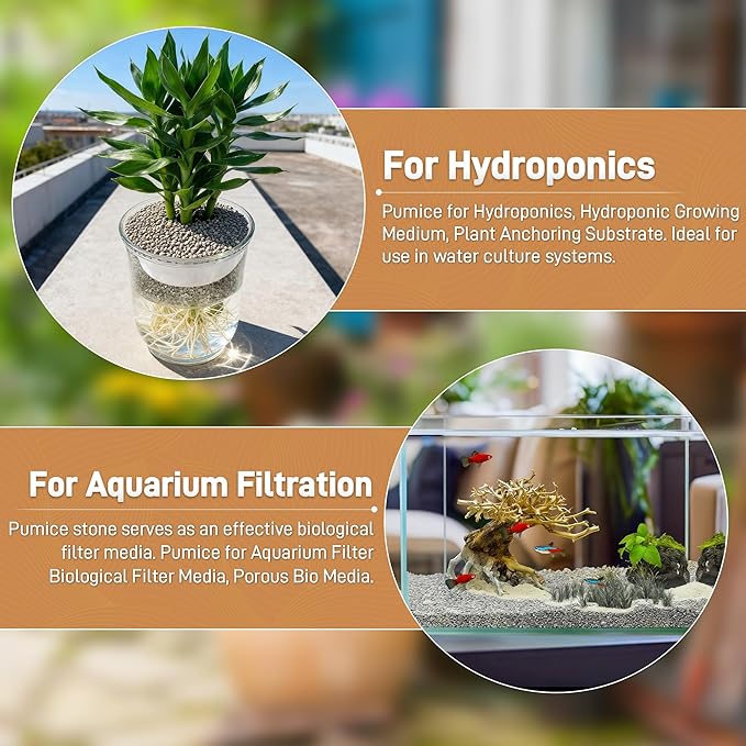 Horticultural Pumice for Plants, 8 Quarts Bag Natural Soil Amendment, 1/4" Particle Size for Succulent, Cactus, Bonsai Tree, Orchid Potting Mix