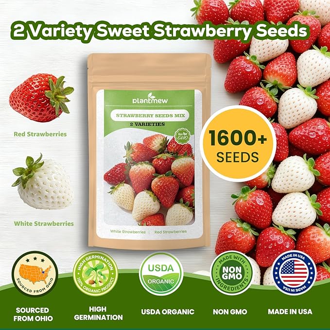 12-Pod Strawberry Seed Kit Compatible with All Hydroponics, 2 Pack Varieties: Big Fruited Red & White Alpine Strawberry - Universal Seed Starter Pods, Easy to Grow, High Germination