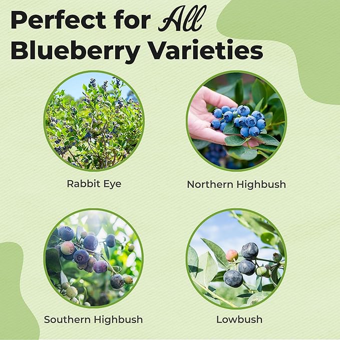 Specialty Blueberry Potting Mix by Perfect Plants | Organic Premium Mix | Use with Blueberry's, Raspberry, or Other Fruit Shrubs (4qt)