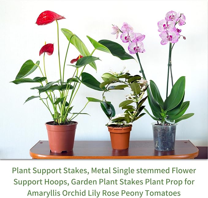 10Pcs Plant Support Stakes with 15 Pcs Plant Clips, Plant Sticks for Indoor and Outdoor Plants, Orchid Clips and Stakes,16inch Tall Bendable Single Stem Flower Stakes Bendable (10, Brown-16inch)