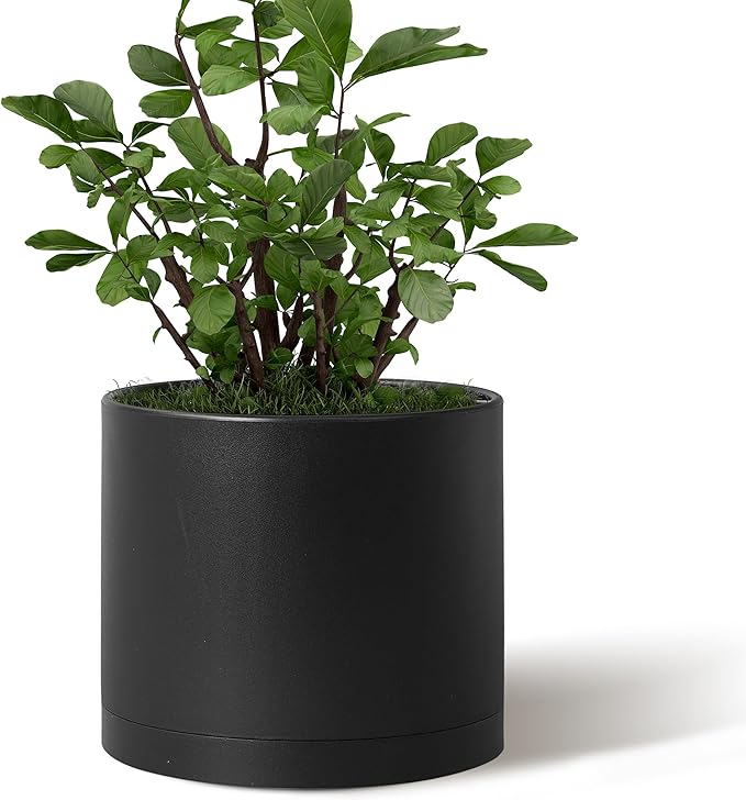 Giraffe Creation 10-Inch Round Cylinder Plant Pot, Modern Indoor/Outdoor Planter with Drainage Hole, Saucer & Water Reservoir, Black