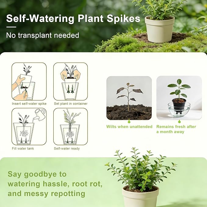 6-Pack Self Watering Planter Insert with Cotton Wick | Stable DIY Automatic Plant Watering System for 2-3 Inch Pots | Eco-Friendly Moisture Stake for Indoor Plants, Vacation & Travel Care