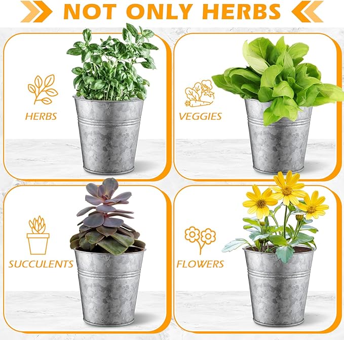 Wenqik 2 Sets Herb Garden Planter Pot Set with Tray Metal Windowsill Plant Pot with Drainage Farmhouse Decorative Live Herb Garden Kit for Home Kitchen Indoor Outdoor Apartment Balcony Window(Silver)
