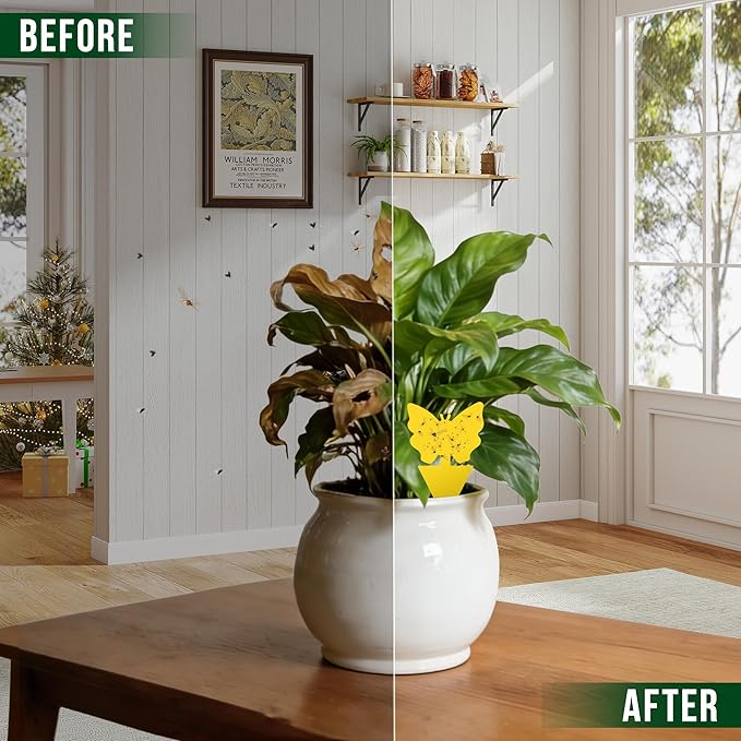Garsum Fruit Fly Sticky Trap for Indoor and Outdoor, 36 Pack Fungus Gnat Killer for Houseplant,Mosquitos, Flying Insect, White Flies