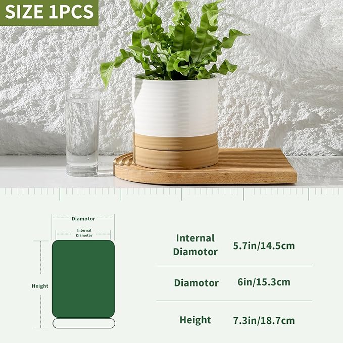 HASENSE Ceramic Plant Pot with Saucer, 6 Inch Planter for Indoor Plants with Drainage Hole, Two-Tone Design White Flower Pot for Succulents, Snake Plants & Cactus, Modern Farmhouse Decor Gift,1 Pcs