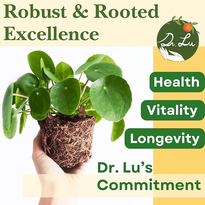 Dr. Lu’s Organic Chinese Money Plant (Pilea Peperomioides) | Rooted Friendship/UFO Plant | Rare House Plants for Good Fortune | Live Plants in 4'' Nursery Pot