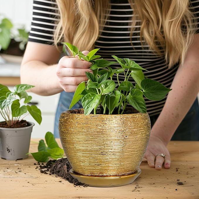 Ceramicfor Indoor Plant Pot 6 Inch - Ceramic Pot for Plants Outdoor Planter with Drainage Hole and Saucer Round Decorative Planter Modern Flower Pot for Home Decor Gold