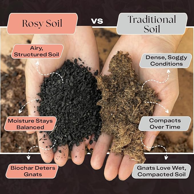 Rosy Soil Cactus and Succulent Potting Soil Mix for Houseplants - Fast Draining Organic Potting Soil for Succulents, AloeVera, Indoor Plant - Root Boosting for Drought Tolerant Growth, Pack of 2