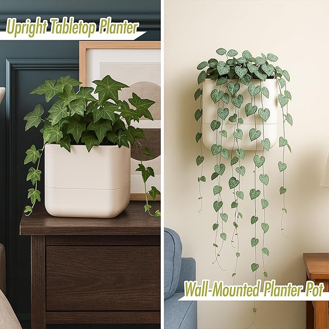 Phoenix Vine 6.5 Inch Wall Mounted Self-Watering Planter Pot for Indoor Houseplants and Herbs | Hanging Planter for Window Sills, Bathroom Walls, Home & Office Décor, Oatmeal, Set of 1, 01-C-G-1