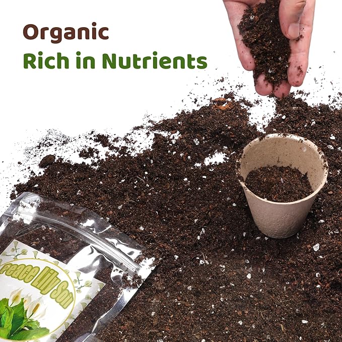 Doter Organic Peace Lily Soil Mix 2qt, Indoor Plants Potting Mix for Planting, Growing, or Repotting Peace Lily Plants, Grow Healthy houseplants Indoors