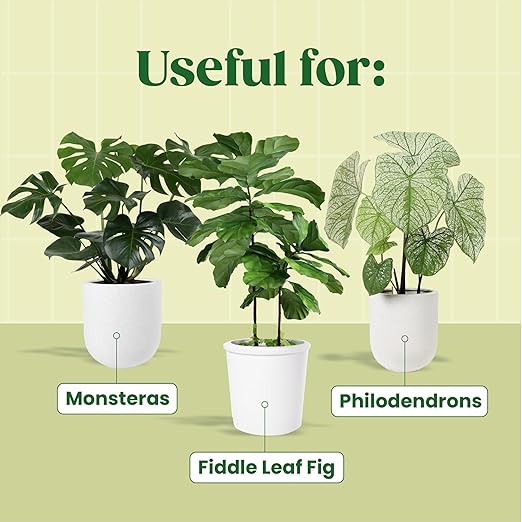 Root Supplement, Liquid Stimulator for Fiddle Leaf Fig & Indoor Plants - Propagation Promoter & Rot Treatment - Food for Healthy Roots, Stems & Leaves - Made in USA