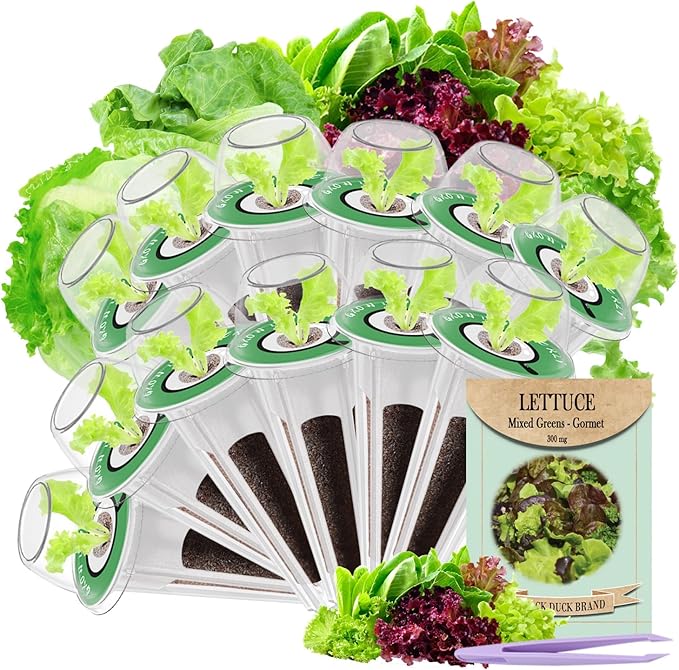 Salad Seed Pods, 12 Pods Grow Anything Kit for All Hydroponics Growing Systems with 300mg Varity Seeds of Buttercrunch, Black Seeded Simpson, Oakleaf, Prizehead, Red Salad Bowl and so on